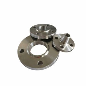 Forged Stainless Steel WN Flange